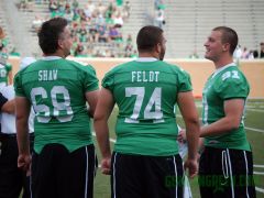 Shaw, Feldt and Orr