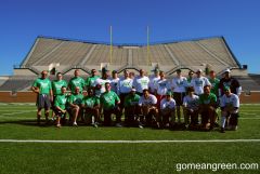 GoMeanGreen Bowl IX In The Apogee Wing