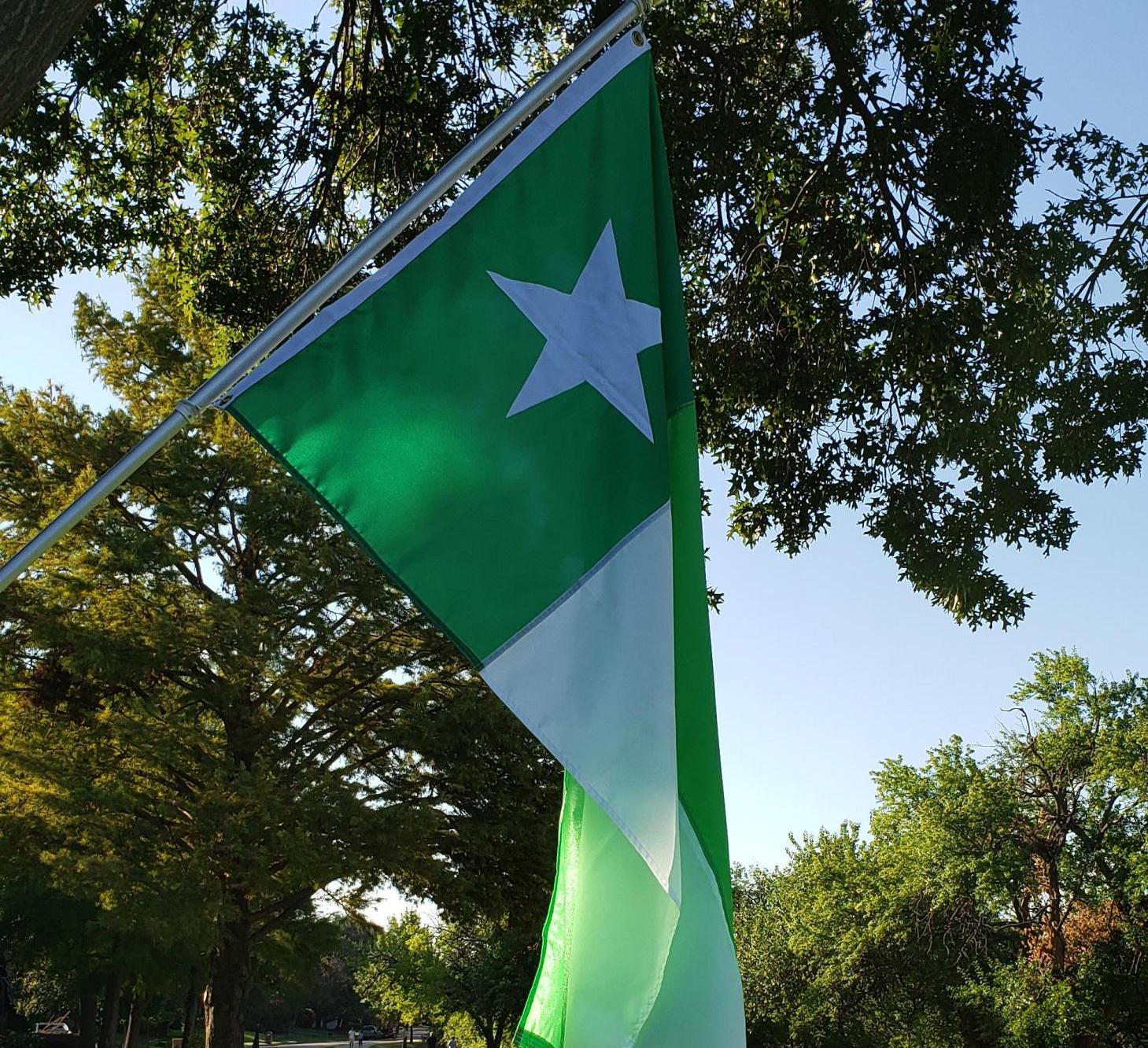 More information about "UNT Battle Flags Flying Proudly Again"