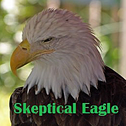 Skeptical Eagle